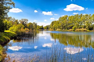 Landschaft mit See, Bäumen und Wolken.