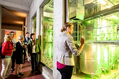 Führung durch eine industrielle Anlage, mehrere Personen betrachten die Maschinen.