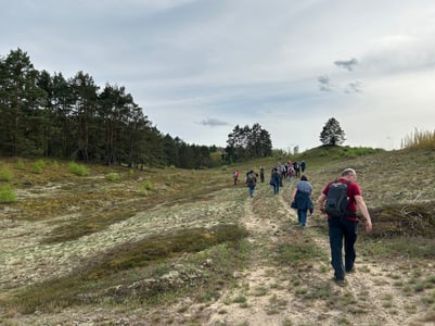 Gruppe von Menschen wandert über eine Wiese in einem Waldgebiet.
