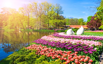 Blumenbeet am Teich in sonniger Frühlingslandschaft.