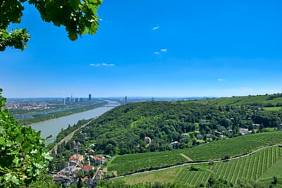 Panorama einer grünen Landschaft mit Fluss und Stadt im Hintergrund.