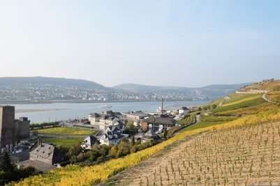 Blick auf Fluss, Stadt und Weinberge bei klarem Himmel.