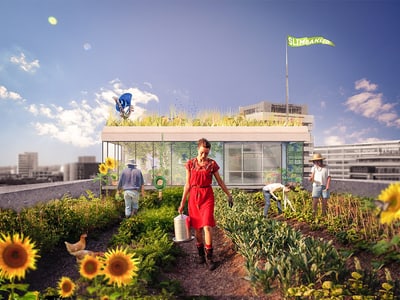 Menschen pflegen Dachgarten mit Sonnenblumen und Gemüse.