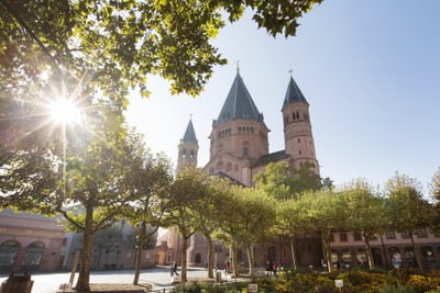 Grosse historische Kirche hinter Bäumen mit Sonnenstrahlen am blauen Himmel.