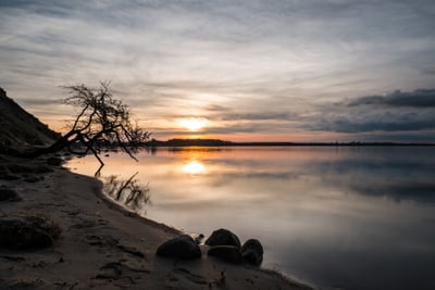Sonnenuntergang am ruhigen See mit Baum am Ufer.