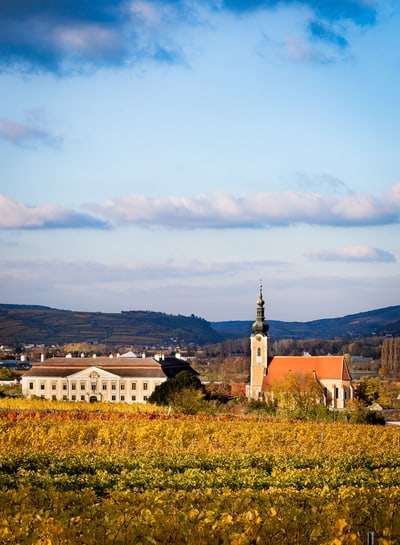 Landschaft mit Kirche, Gebäuden und Weinbergen im Vordergrund.