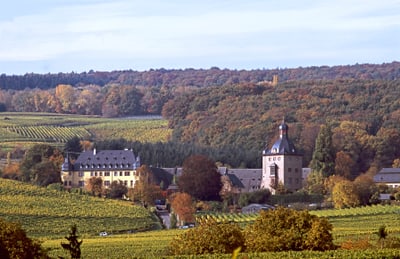 Schloss inmitten von Weinbergen und Herbstlandschaft.