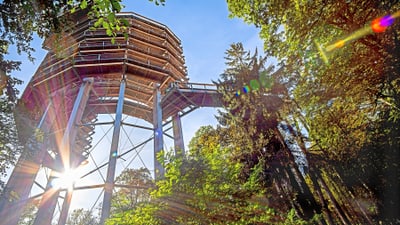 Aussichtsplattform im Wald mit Sonne hinter Bäumen.