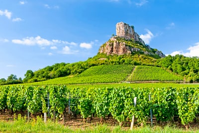 Weinberge vor Felsenlandschaft unter blauem Himmel.