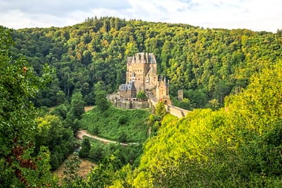 Mittelalterliche Burg umgeben von Wald auf einem Hügel.