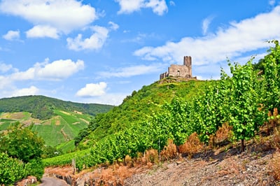 Burgruine auf einem Hügel mit umliegenden Weinbergen unter blauem Himmel.
