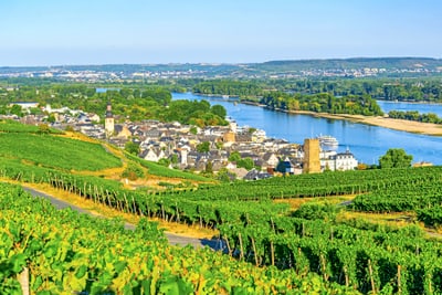 Landschaft mit Fluss, Stadt und Weinbergen im Vordergrund.