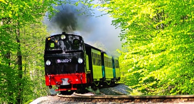 Dampflok fährt durch grünen Wald.
